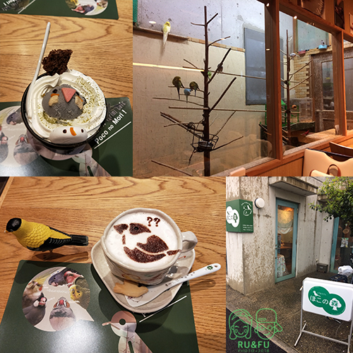 日本關西圖片-鳥餐廳
