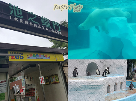 日本東京圖片-上野動物園