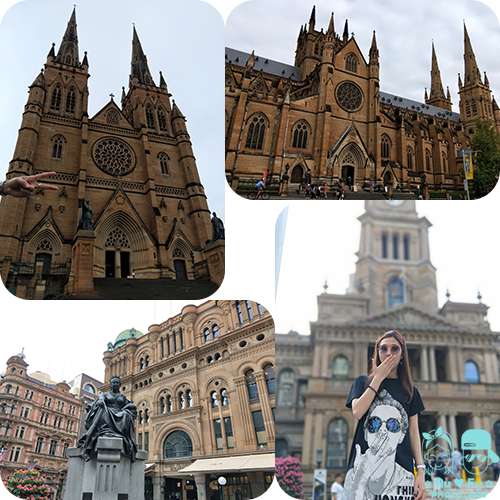 澳洲圖片-聖瑪麗大教堂+維多利亞大廈+市政廳